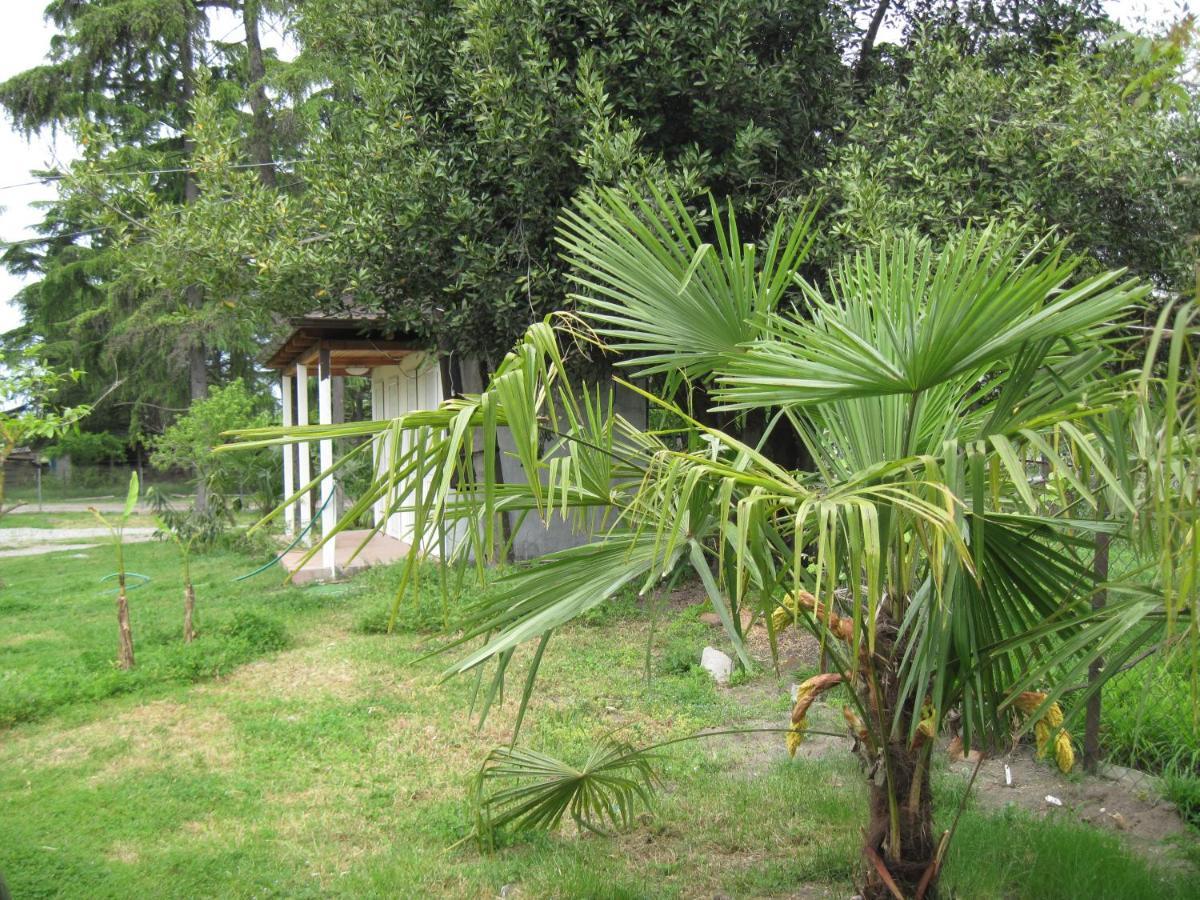 Guest House Inkit Pizunda Exterior photo